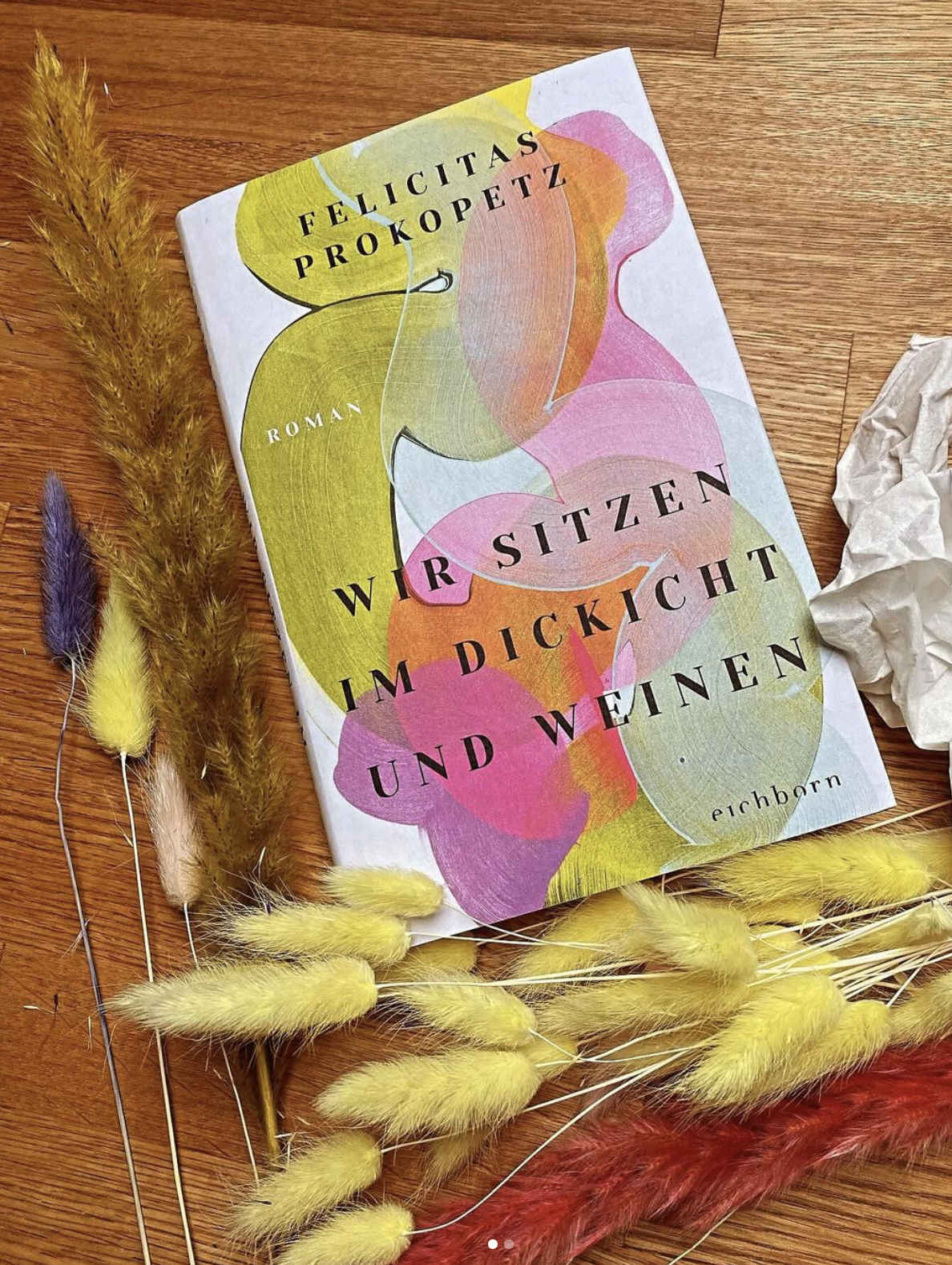 Ein abstrakter buntes Buchcover mit Titel: Felicitas Prokopetz, Wir sitzen im Dickicht und Weinen